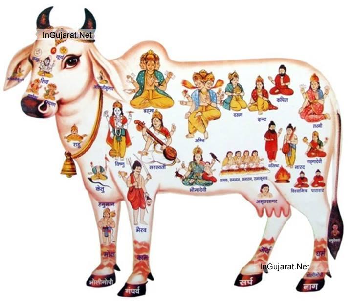 33 Crores Hindu Gods in Cow Images - Indian Religious Photos Gods Shown on Cow