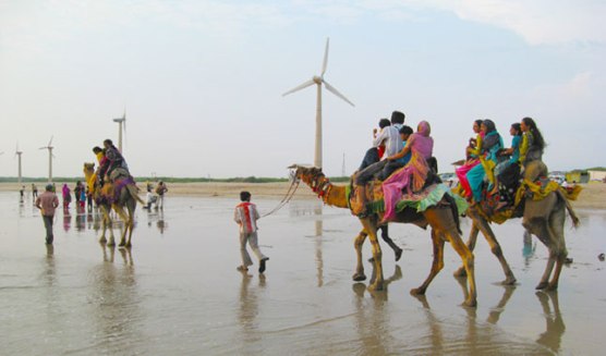 Mandvi Beach in Kutch Bhuj Gujarat  Location Information of Mandvi Beach