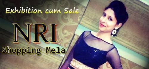NRI Shopping Mela 2014 in Anand