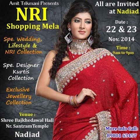 NRI Shopping Mela 2014 in Nadiad by Amit Trikmani