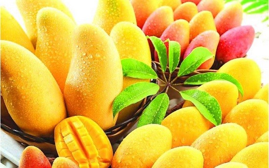 Mango Festival 2015 Dates in Sasan Gir Gujarat
