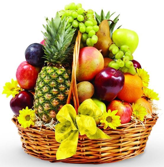 Kuber Fruits in Rajkot – Online Fruits Mall by Kuber Agricold Pvt Ltd
